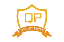 qp